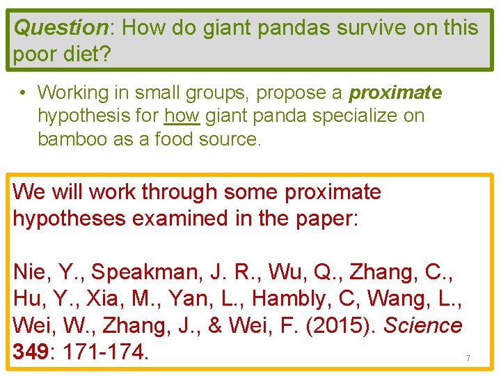 Question: How do giant pandas survive on this poor diet? • Working in small