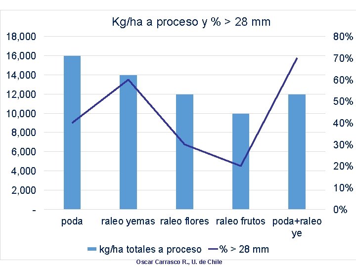 Kg/ha a proceso y % > 28 mm 18, 000 80% 16, 000 70%