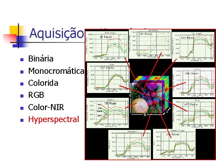 Aquisição – tipo de imagem n n n Binária Monocromática Colorida RGB Color-NIR Hyperspectral
