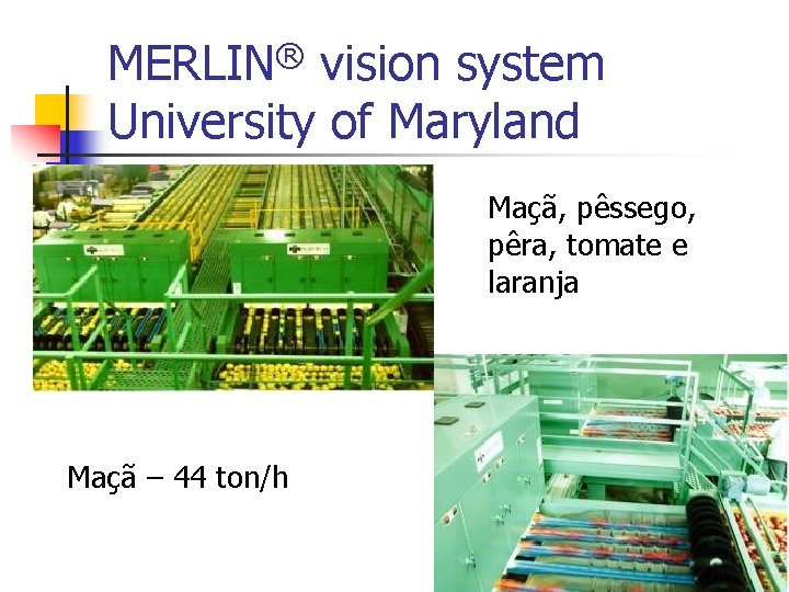 ® MERLIN vision system University of Maryland Maçã, pêssego, pêra, tomate e laranja Maçã
