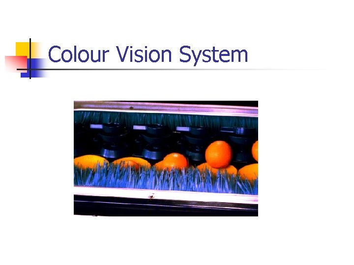 Colour Vision System 