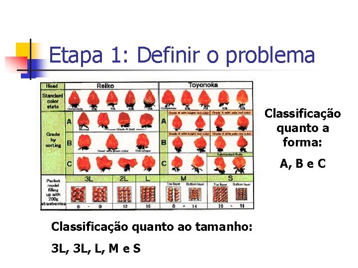 Etapa 1: Definir o problema Classificação quanto a forma: A, B e C Classificação