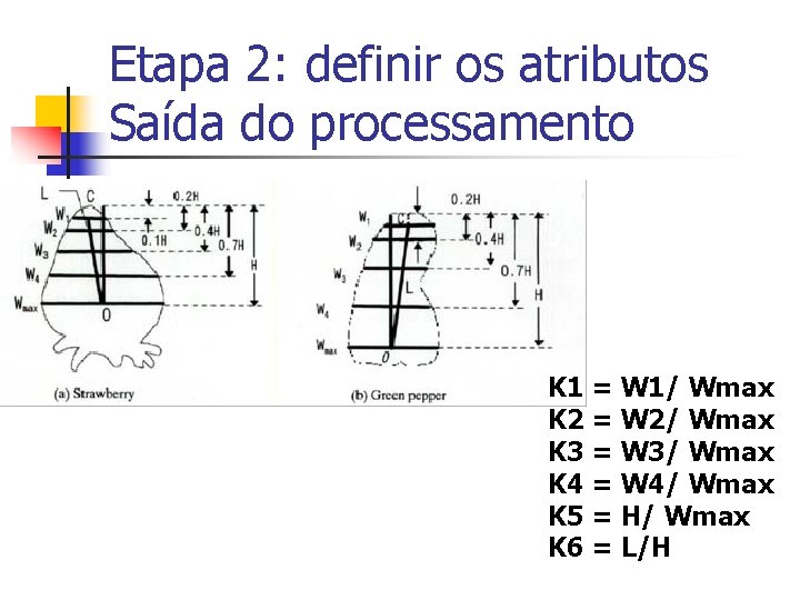 Etapa 2: definir os atributos Saída do processamento K 1 = W 1/ Wmax