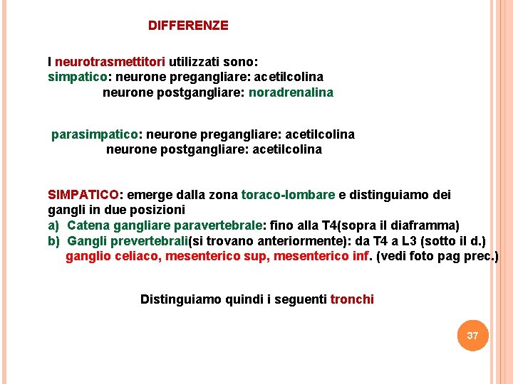 DIFFERENZE I neurotrasmettitori utilizzati sono: simpatico: neurone pregangliare: acetilcolina neurone postgangliare: noradrenalina parasimpatico: neurone