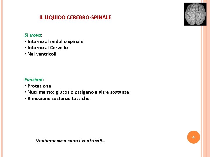 IL LIQUIDO CEREBRO-SPINALE Si trova: • Intorno al midollo spinale • Intorno al Cervello