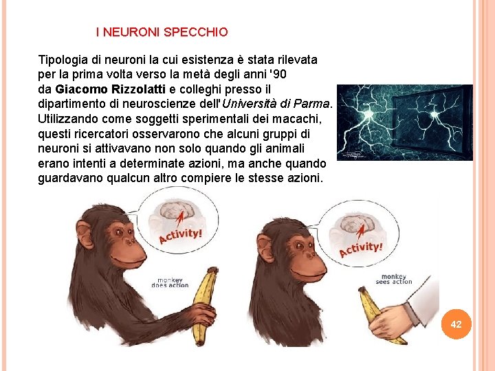 I NEURONI SPECCHIO Tipologia di neuroni la cui esistenza è stata rilevata per la