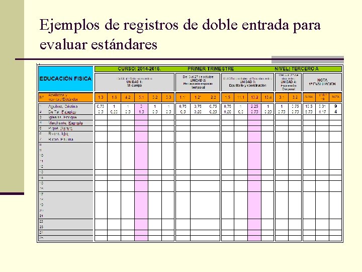 Ejemplos de registros de doble entrada para evaluar estándares 