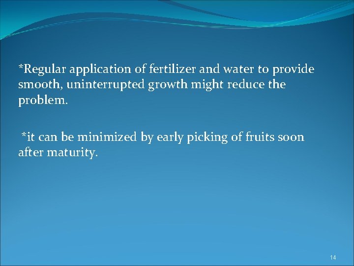 *Regular application of fertilizer and water to provide smooth, uninterrupted growth might reduce the