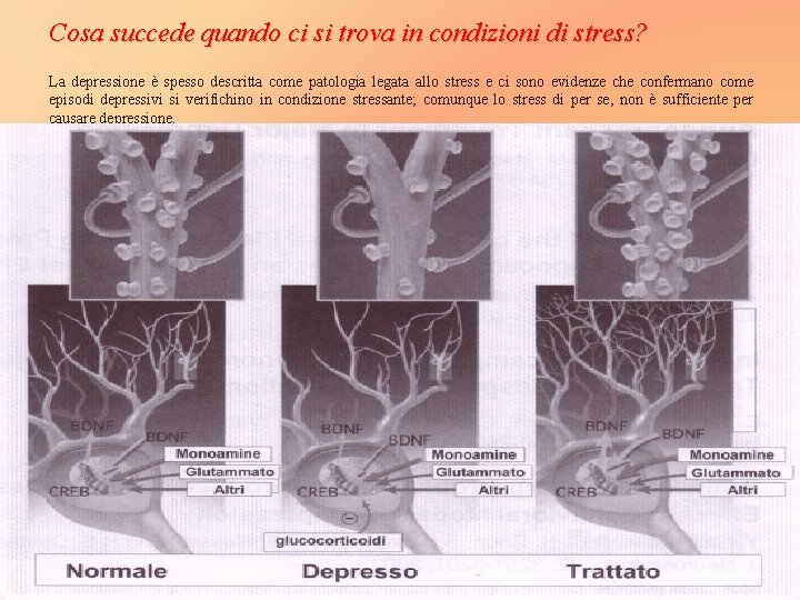 Cosa succede quando ci si trova in condizioni di stress? La depressione è spesso