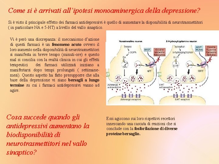 Come si è arrivati all’ipotesi monoaminergica della depressione? Si è visto il principale effetto