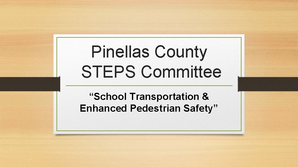 Pinellas County STEPS Committee “School Transportation & Enhanced Pedestrian Safety” 