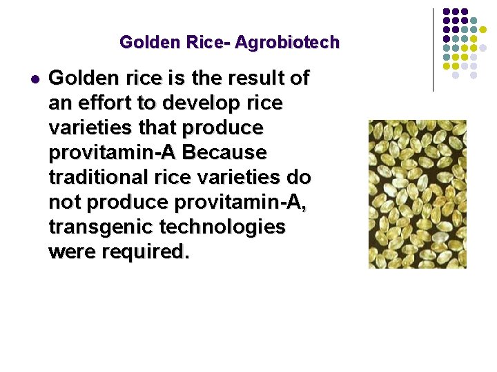 Golden Rice- Agrobiotech l Golden rice is the result of an effort to develop