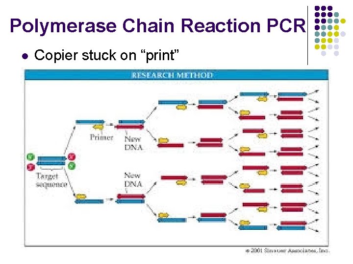 Polymerase Chain Reaction PCR l Copier stuck on “print” 