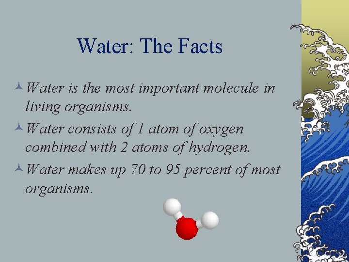 Water: The Facts ©Water is the most important molecule in living organisms. ©Water consists