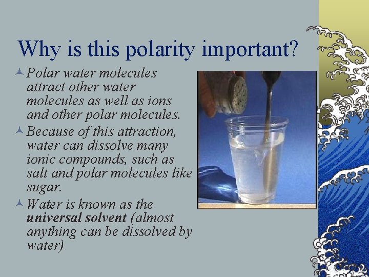 Why is this polarity important? © Polar water molecules attract other water molecules as