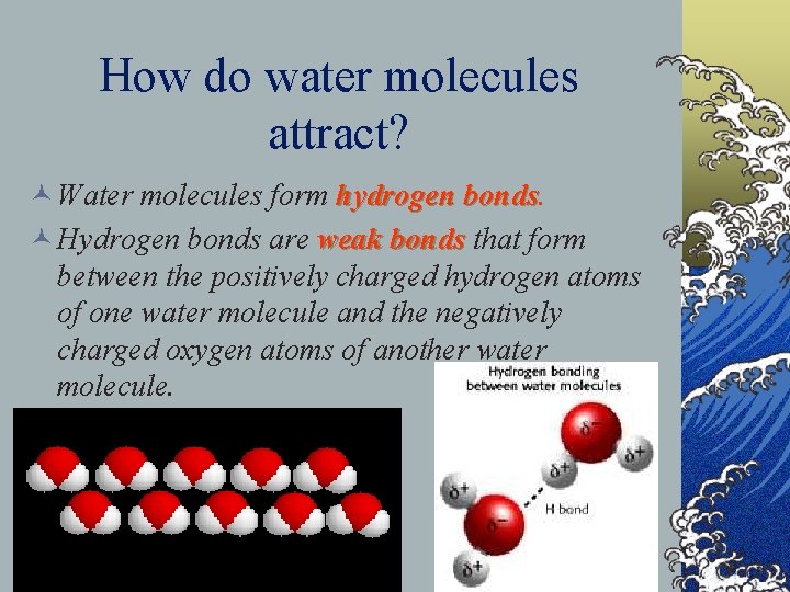 How do water molecules attract? © Water molecules form hydrogen bonds © Hydrogen bonds