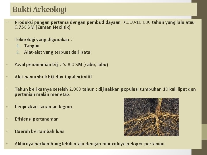 Bukti Arkeologi • Produksi pangan pertama dengan pembudidayaan 7. 000 -10. 000 tahun yang