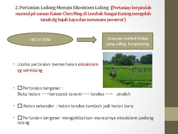 2. Pertanian Ladang Menuju Ekosistem Lalang (Pertanian berpindah muncul pd zaman Kaisar Chen Ning