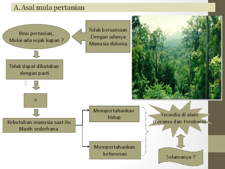 A. Asal mula pertanian Ilmu pertanian, Mulai ada sejak kapan ? Tidak bersamaan Dengan