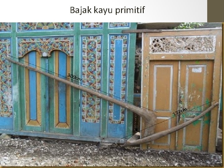 Bajak kayu primitif 