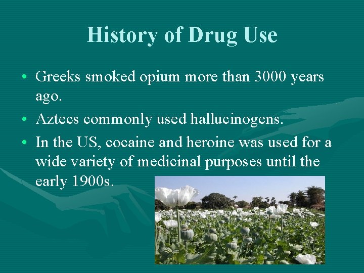 History of Drug Use • Greeks smoked opium more than 3000 years ago. • History of Drug Use • Greeks smoked opium more than 3000 years ago. •