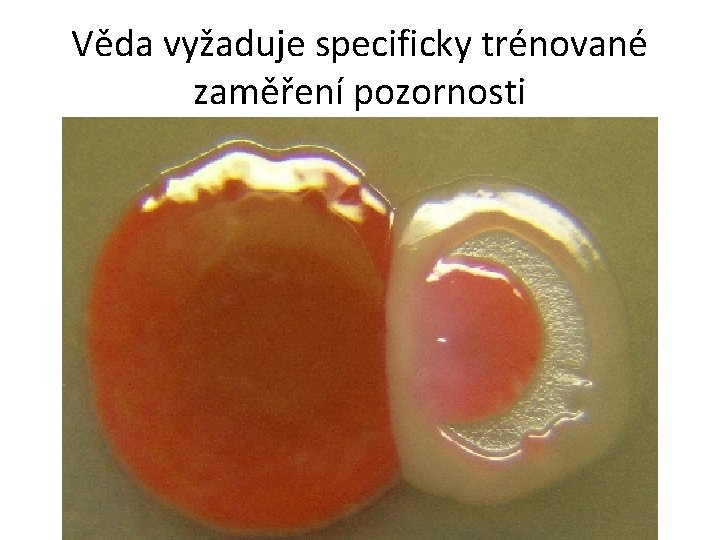 Věda vyžaduje specificky trénované zaměření pozornosti 