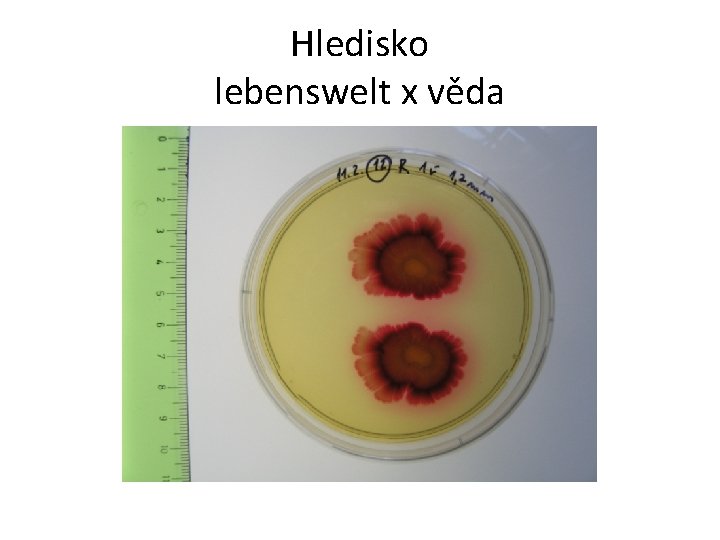 Hledisko lebenswelt x věda 