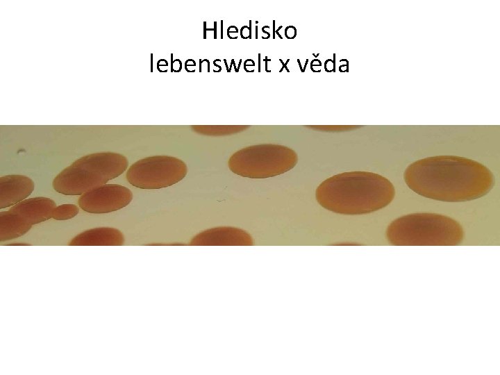 Hledisko lebenswelt x věda 