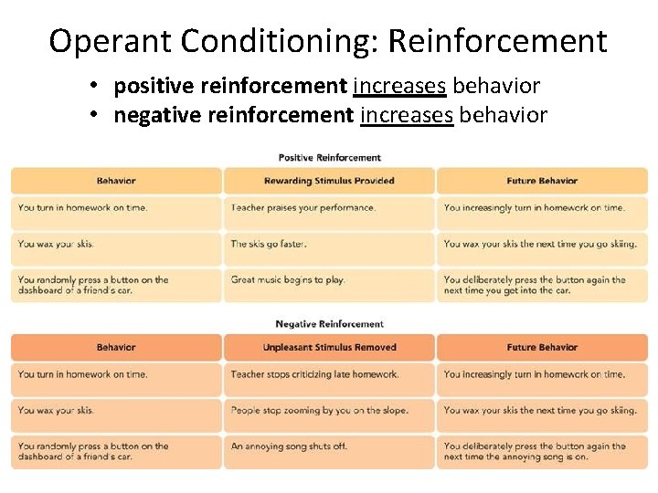 Operant Conditioning: Reinforcement • positive reinforcement increases behavior • negative reinforcement increases behavior 