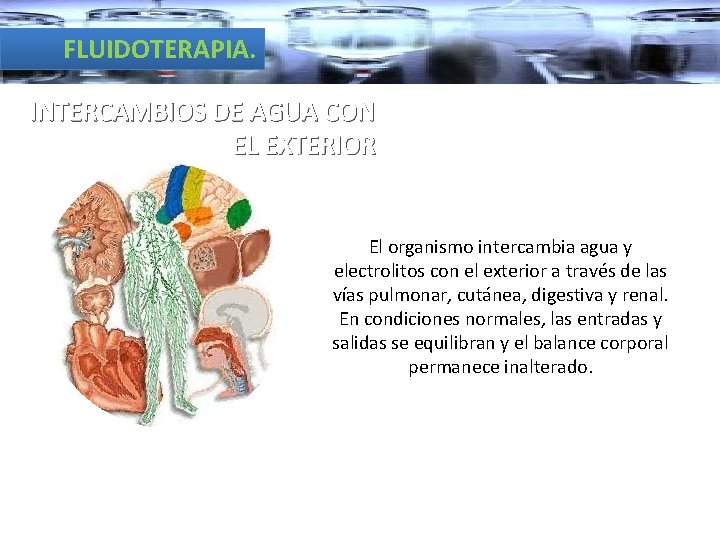 FLUIDOTERAPIA. INTERCAMBIOS DE AGUA CON EL EXTERIOR El organismo intercambia agua y electrolitos con