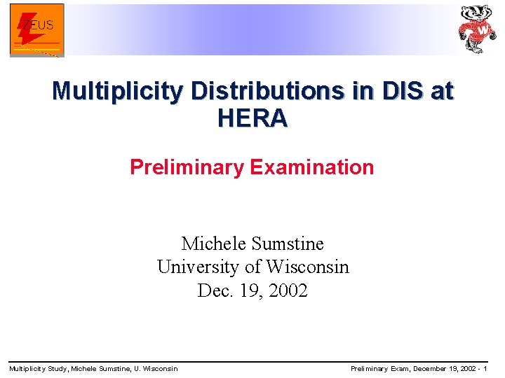 Multiplicity Distributions in DIS at HERA Preliminary Examination Michele Sumstine University of Wisconsin Dec.