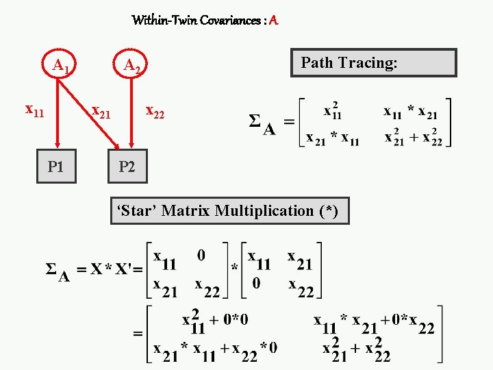 Within-Twin Covariances : A A 1 x 11 x 21 P 1 Path Tracing: