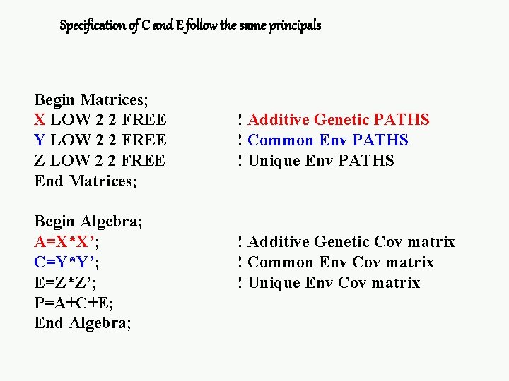 Specification of C and E follow the same principals Begin Matrices; X LOW 2