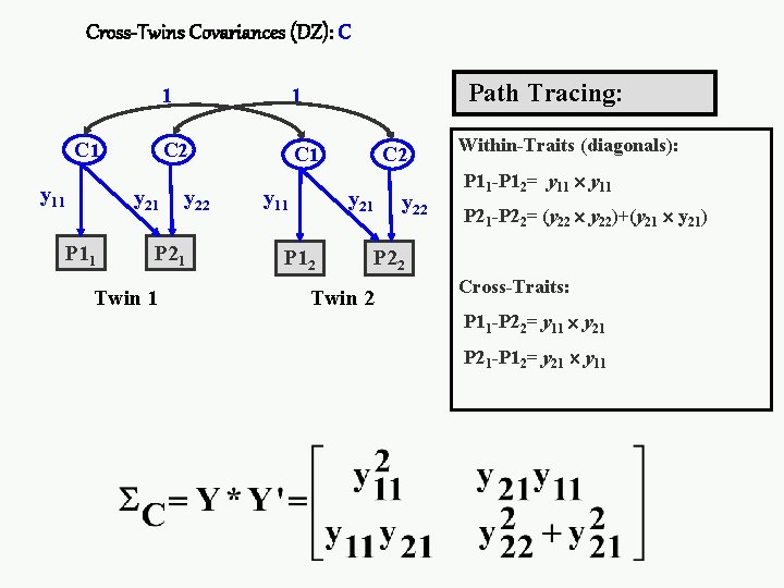 Cross-Twins Covariances (DZ): C C 1 y 11 y 21 P 11 1 C