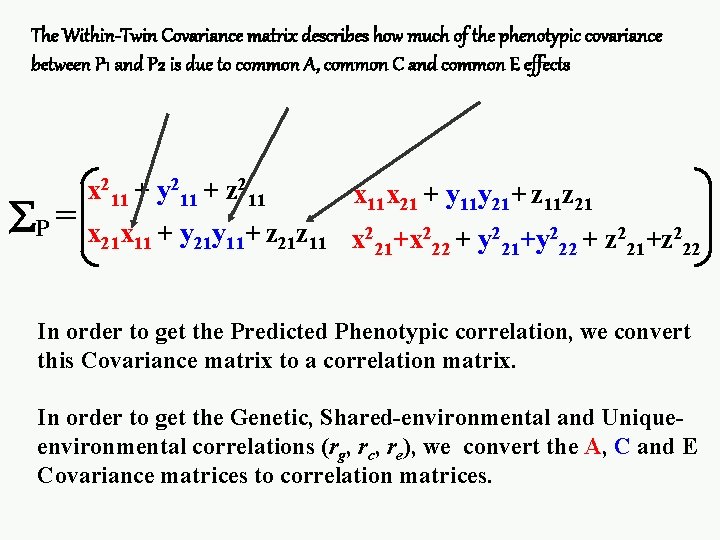 The Within-Twin Covariance matrix describes how much of the phenotypic covariance between P 1