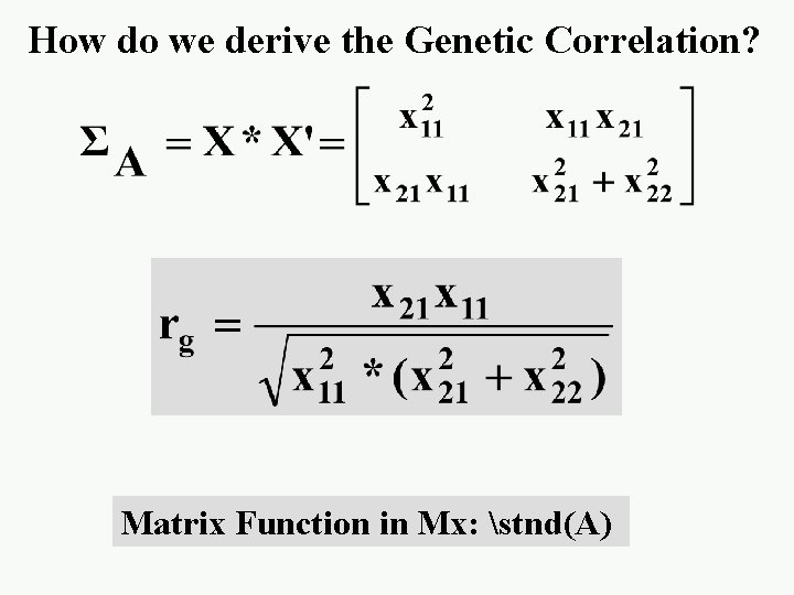 How do we derive the Genetic Correlation? Matrix Function in Mx: stnd(A) 