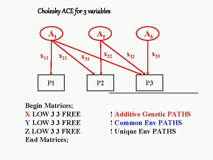 Cholesky ACE for 3 variables A 1 x 11 A 2 x 21 P