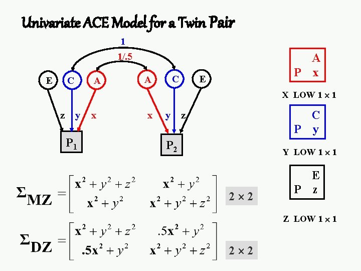 Univariate ACE Model for a Twin Pair 1 1/. 5 E C A A