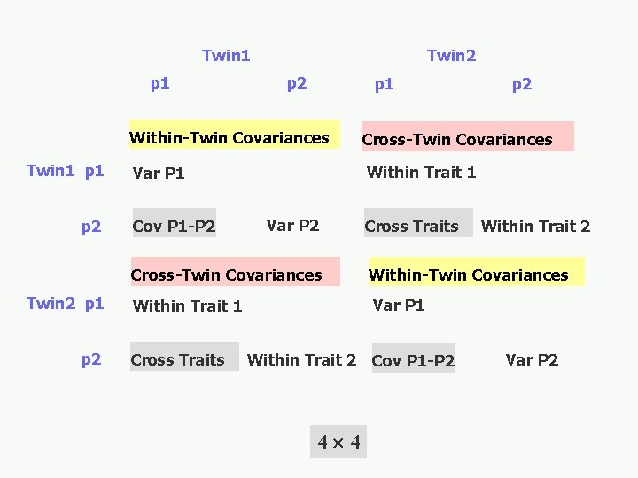 Twin 1 p 1 p 2 Twin 2 p 1 p 2 Within-Twin Covariances