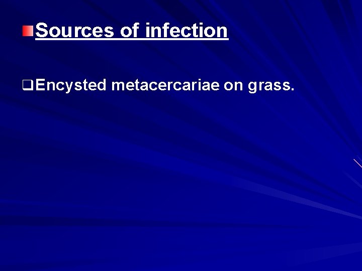 Sources of infection q Encysted metacercariae on grass. 