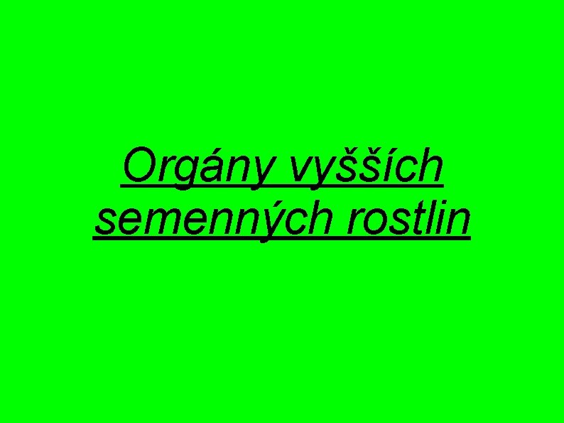Orgány vyšších semenných rostlin 