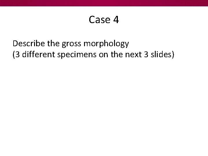 Case 4 Describe the gross morphology (3 different specimens on the next 3 slides)