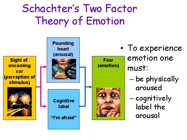 Schachter’s Two Factor Theory of Emotion Pounding heart (arousal) Sight of oncoming car (perception