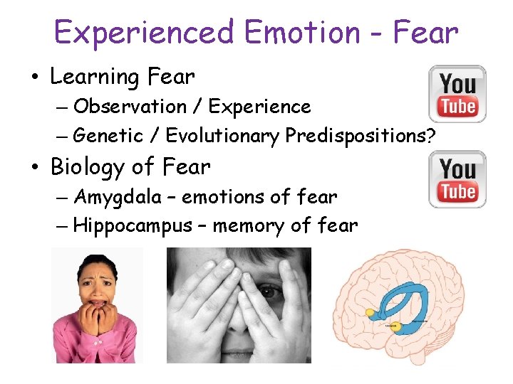 Experienced Emotion - Fear • Learning Fear – Observation / Experience – Genetic /