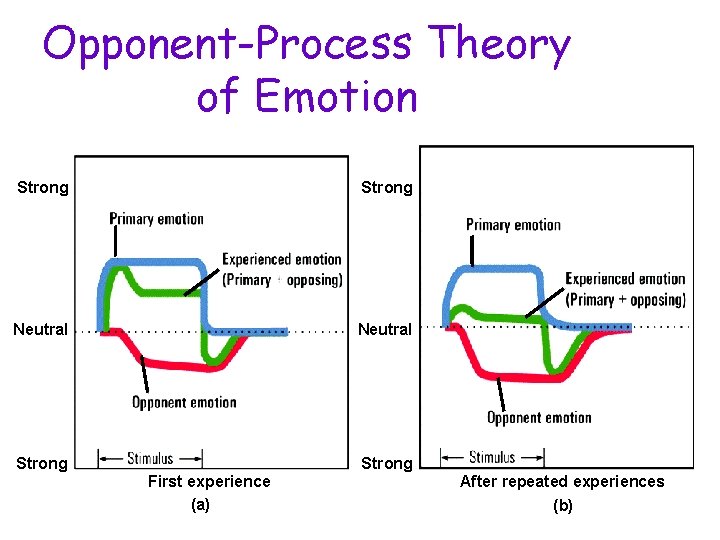 Opponent-Process Theory of Emotion Strong Neutral Strong First experience (a) After repeated experiences (b)