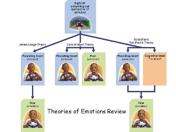 Theories of Emotions Review 