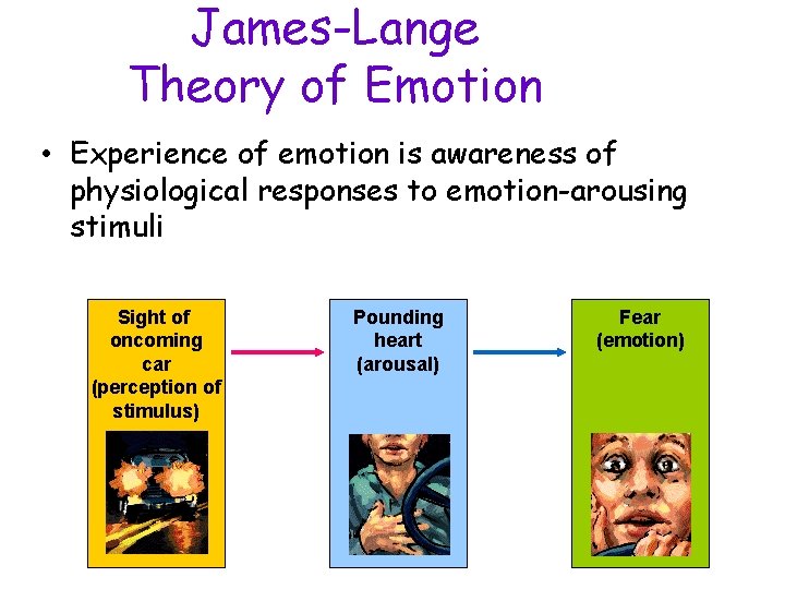James-Lange Theory of Emotion • Experience of emotion is awareness of physiological responses to