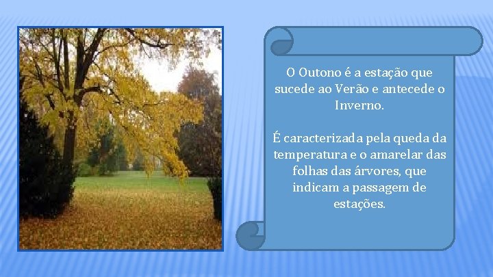 O Outono é a estação que sucede ao Verão e antecede o Inverno. É