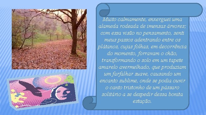 Muito calmamente, enxerguei uma alameda rodeada de imensas árvores; com essa visão no pensamento,