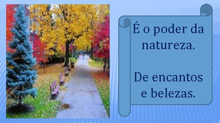 É o poder da natureza. De encantos e belezas. 